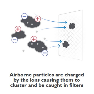 plasmapure infographic 1